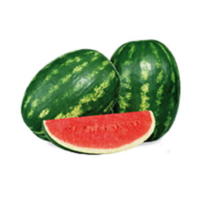 DELICIA (F1)